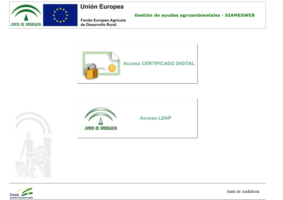 Siames Web