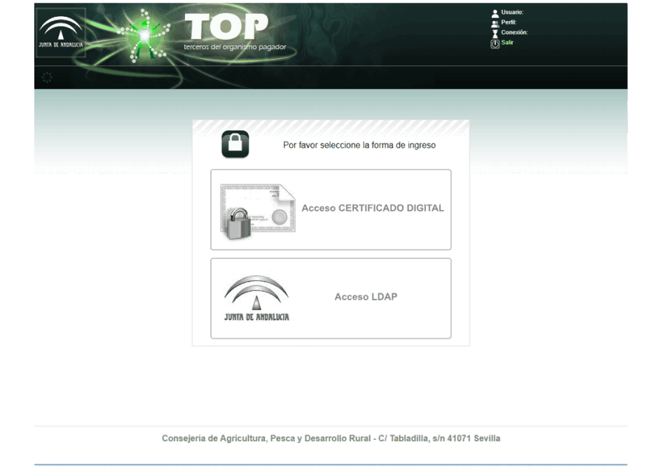 top web